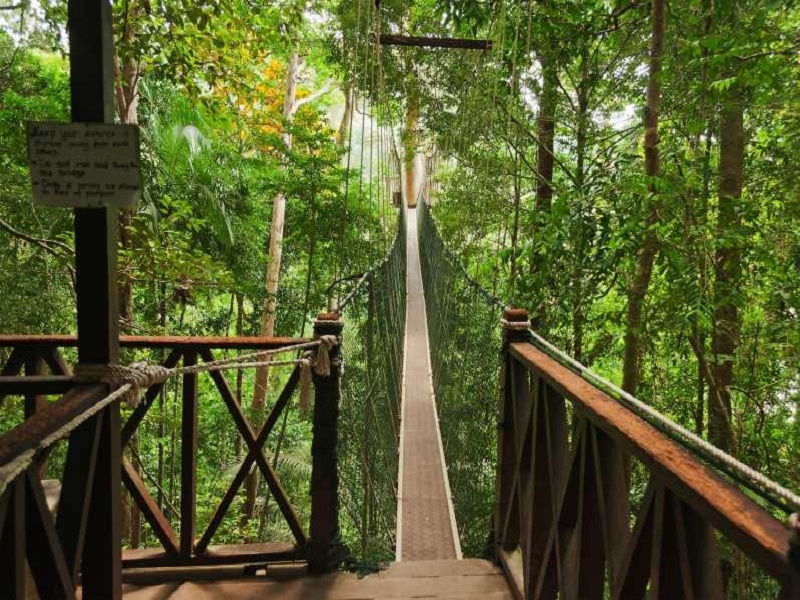تفریحات پارک ملی تامان نگارا مالزی