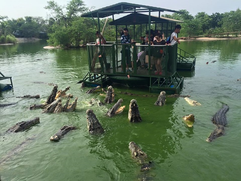 حیوانات باغ وحش سافاری بانکوک