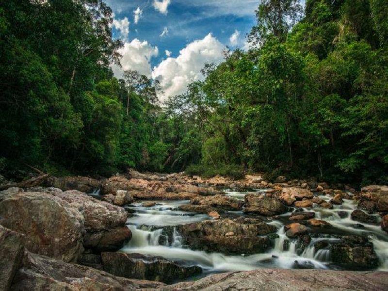 پارک ملی تامان نگارا مالزی 