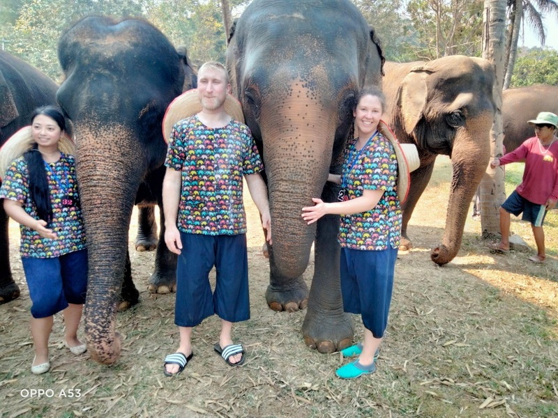 خدماتی که در دهکده فیل ها اراییه میشود