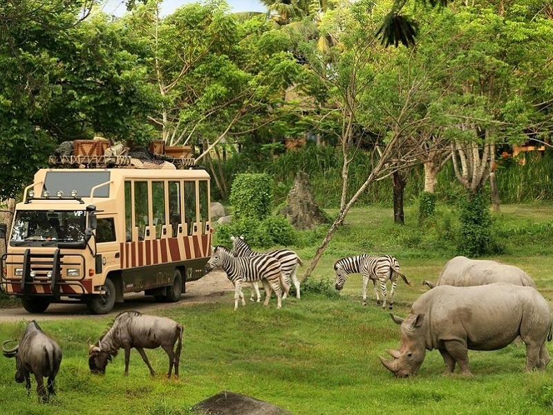 باغ وحش سافاری بانکوک